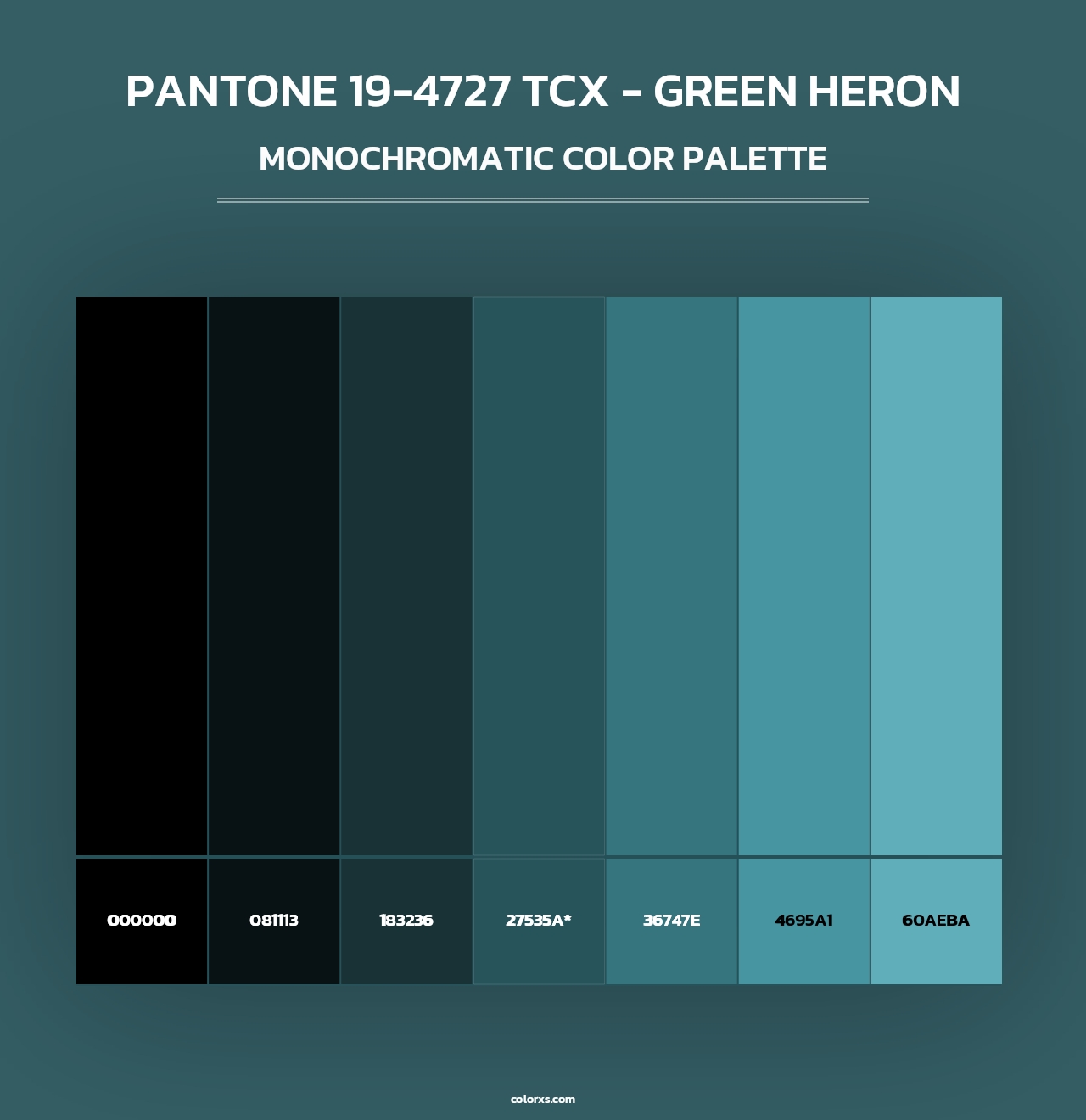PANTONE 19-4727 TCX - Green Heron - Monochromatic Color Palette