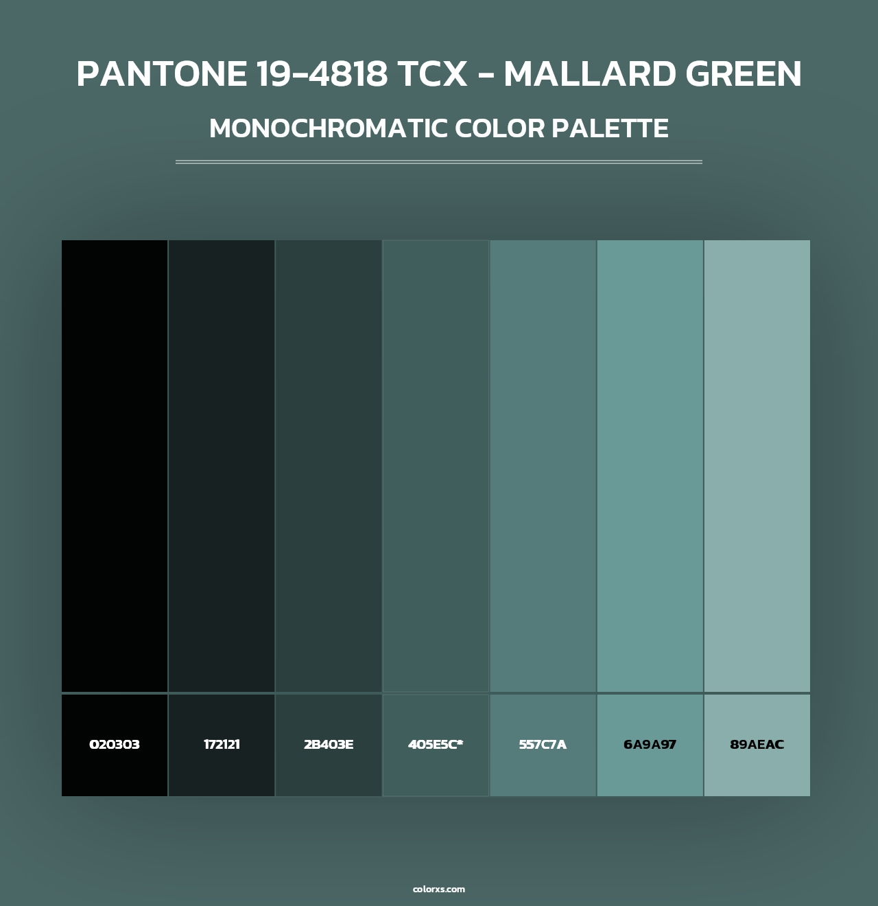 PANTONE 19-4818 TCX - Mallard Green - Monochromatic Color Palette