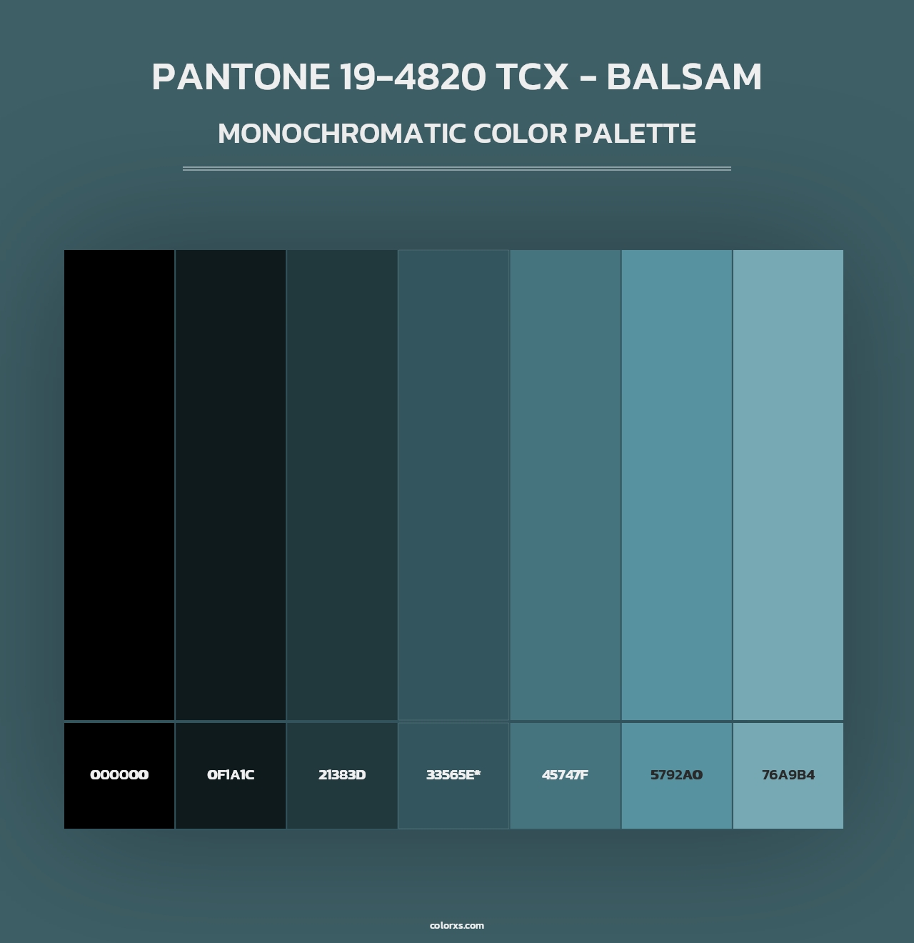 PANTONE 19-4820 TCX - Balsam - Monochromatic Color Palette