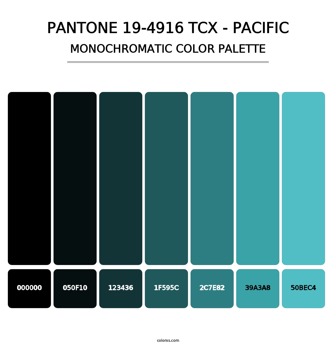 PANTONE 19-4916 TCX - Pacific - Monochromatic Color Palette