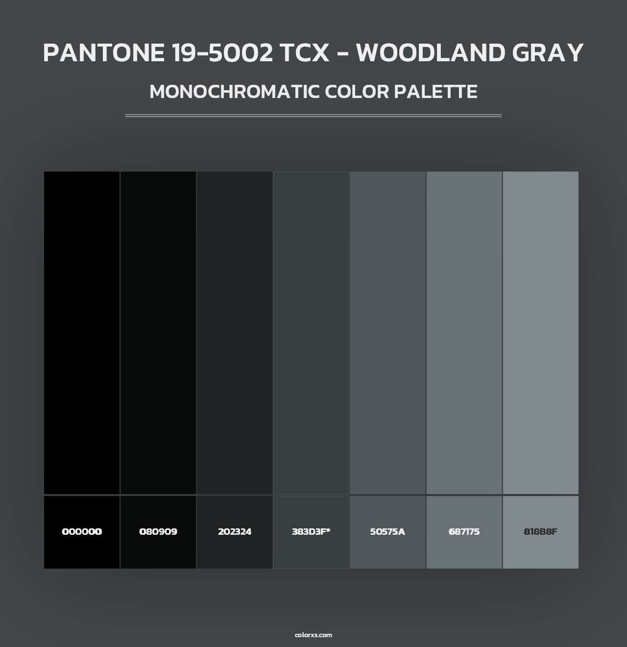 PANTONE 19-5002 TCX - Woodland Gray - Monochromatic Color Palette