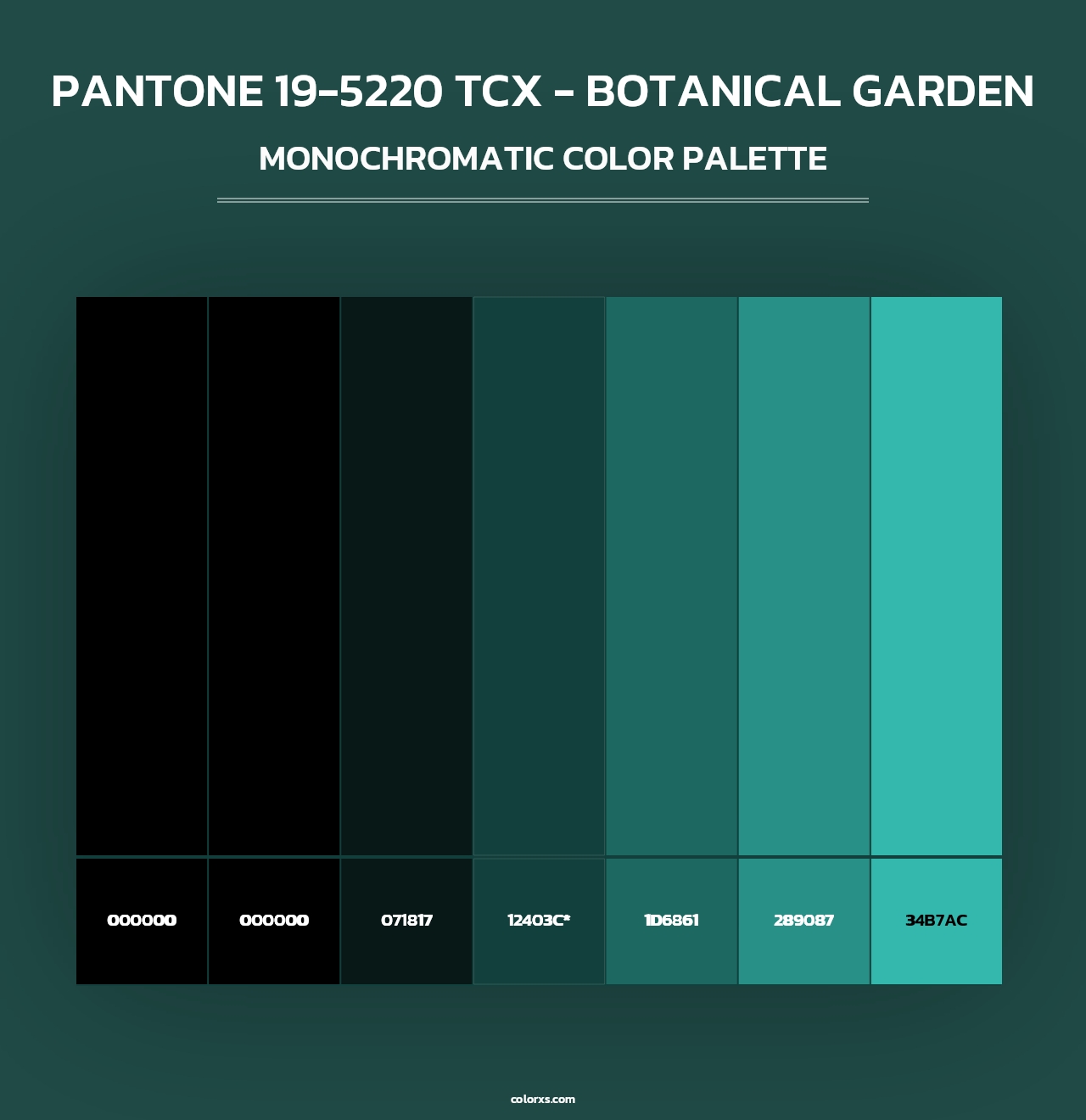 PANTONE 19-5220 TCX - Botanical Garden - Monochromatic Color Palette
