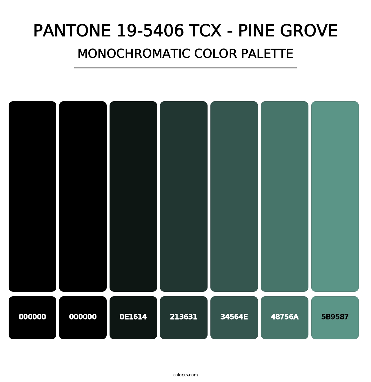 PANTONE 19-5406 TCX - Pine Grove - Monochromatic Color Palette