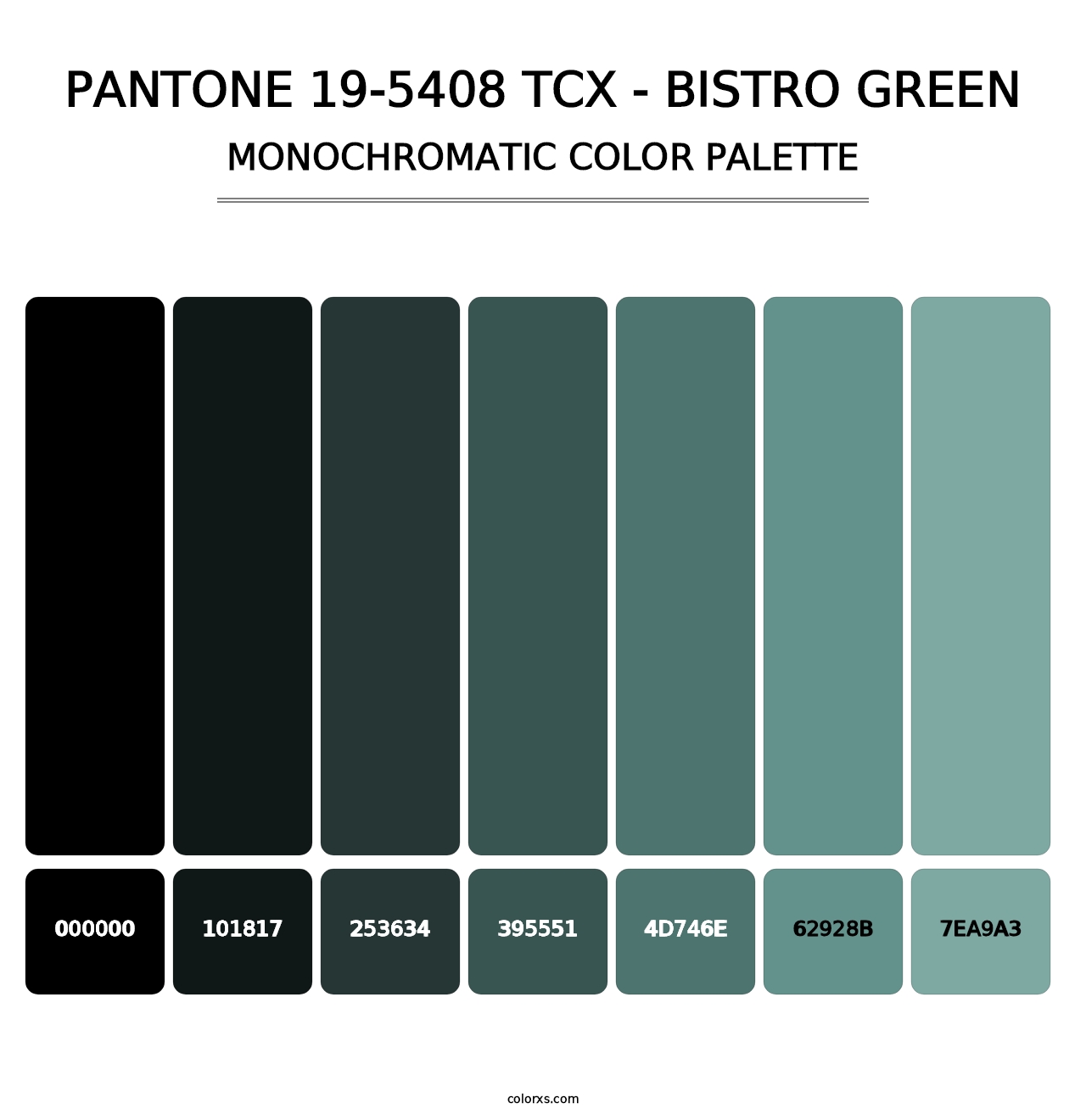 PANTONE 19-5408 TCX - Bistro Green - Monochromatic Color Palette