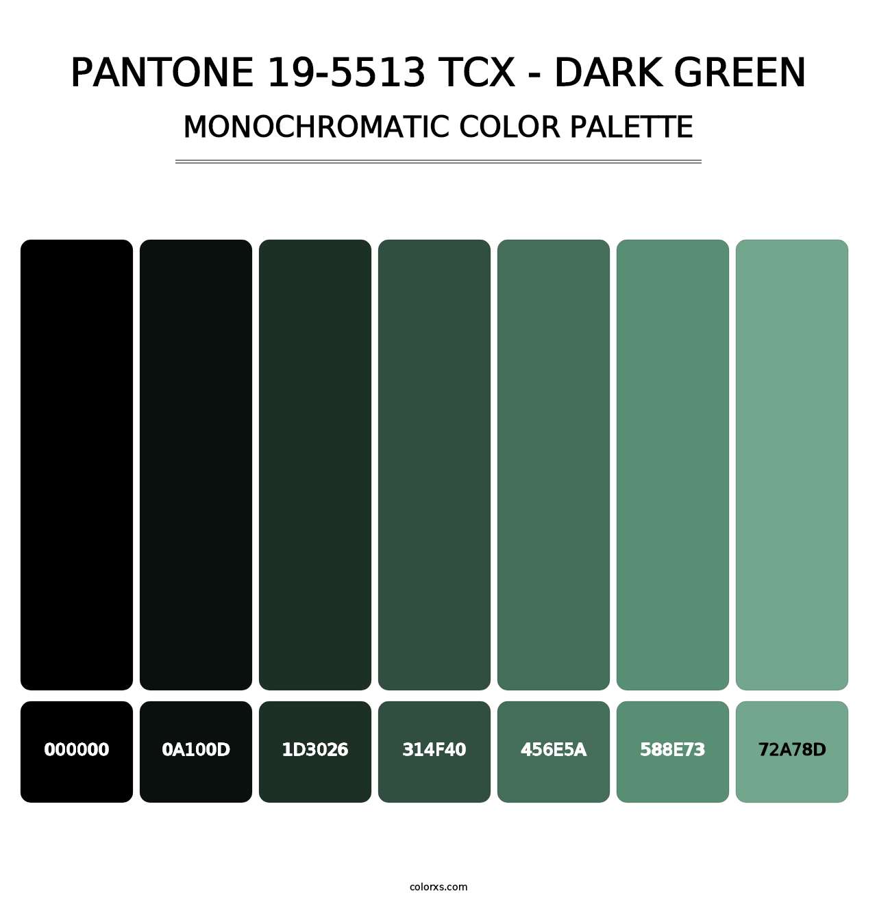 PANTONE 19-5513 TCX - Dark Green - Monochromatic Color Palette