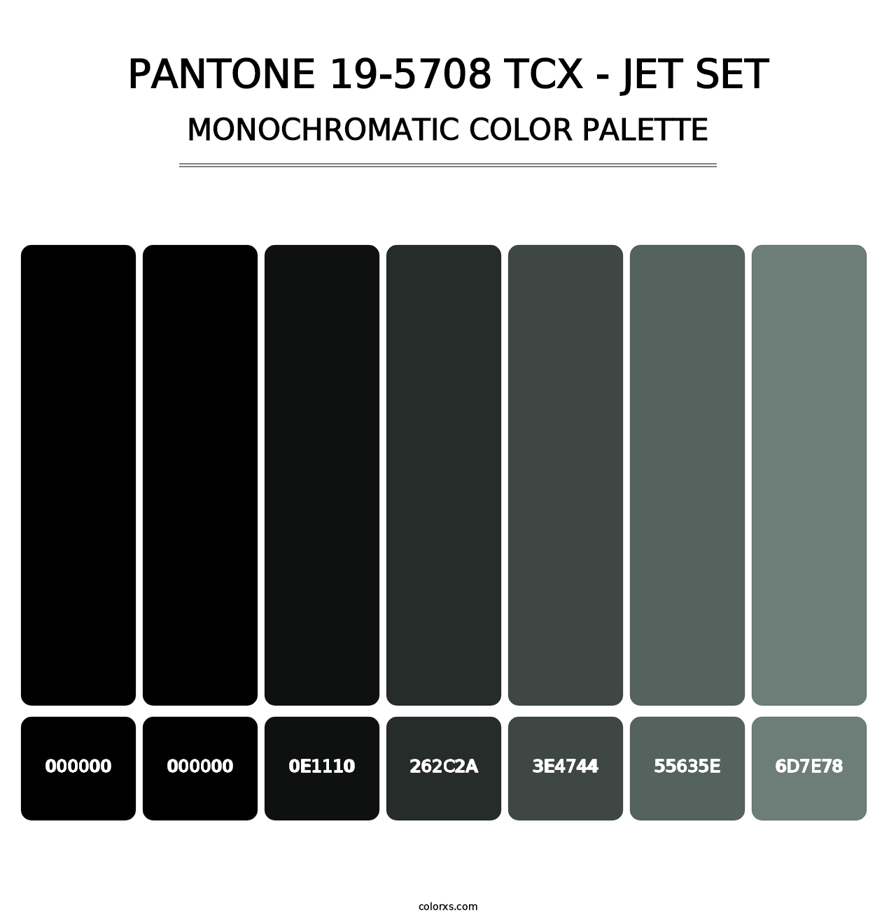 PANTONE 19-5708 TCX - Jet Set - Monochromatic Color Palette