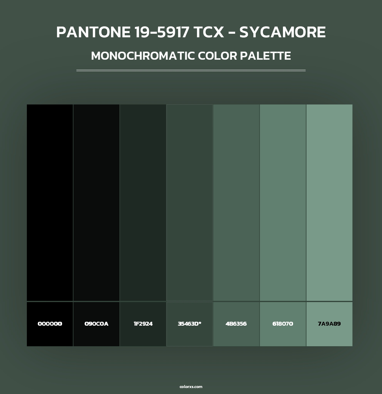 PANTONE 19-5917 TCX - Sycamore - Monochromatic Color Palette