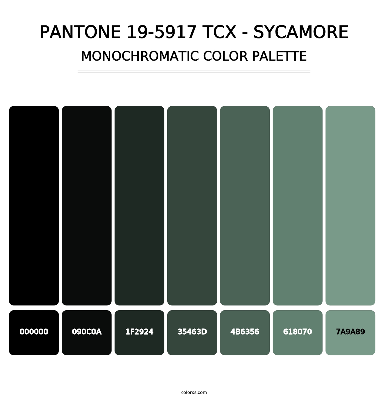 PANTONE 19-5917 TCX - Sycamore - Monochromatic Color Palette