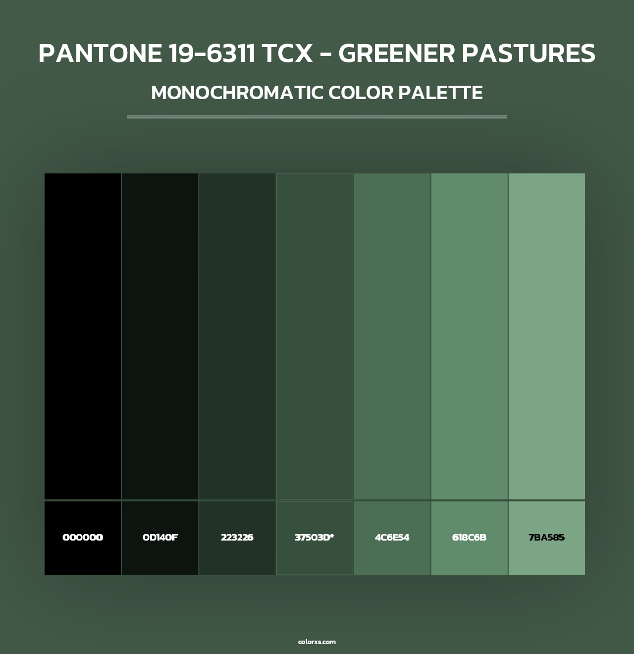 PANTONE 19-6311 TCX - Greener Pastures - Monochromatic Color Palette