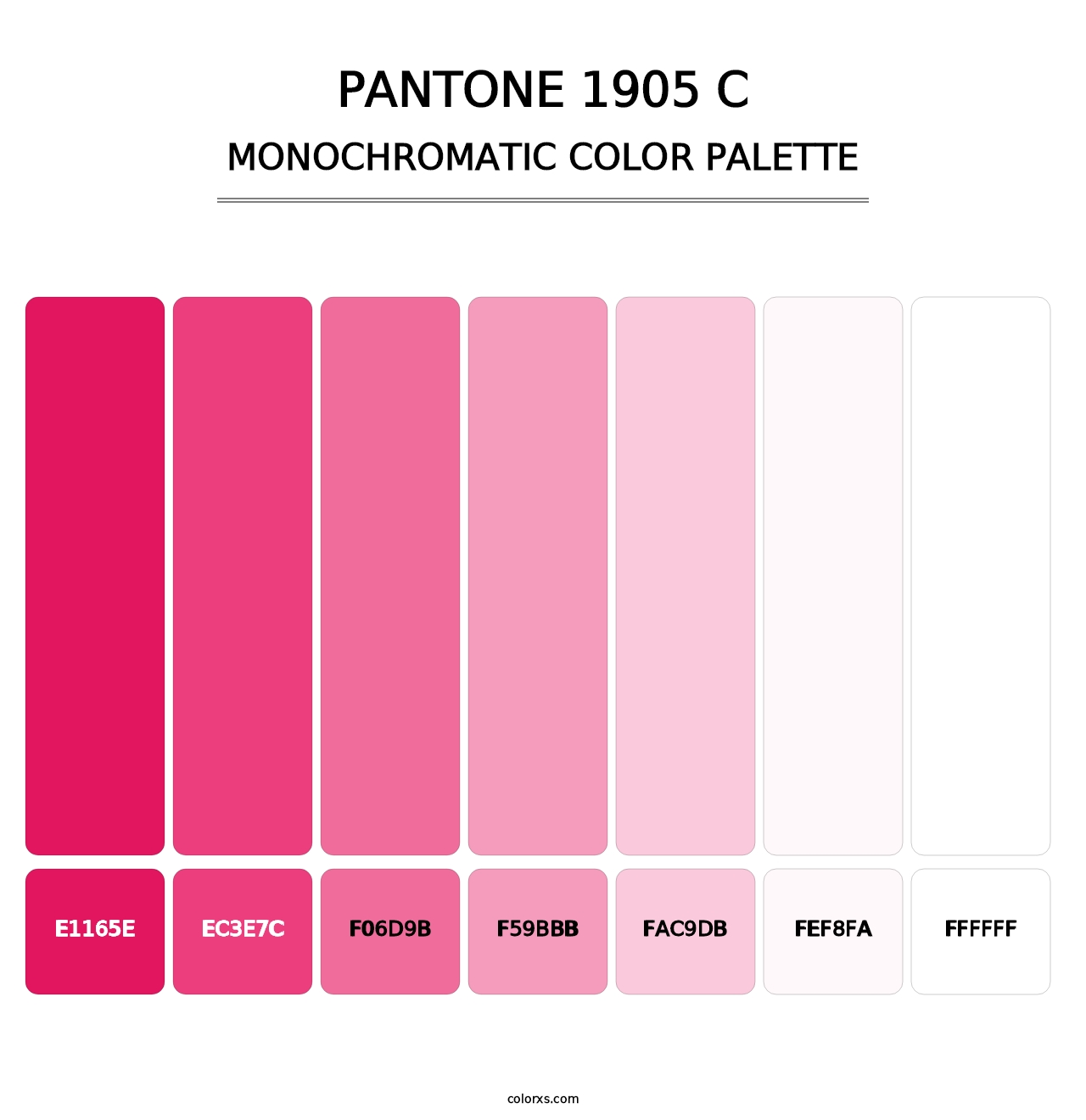 PANTONE 1905 C - Monochromatic Color Palette