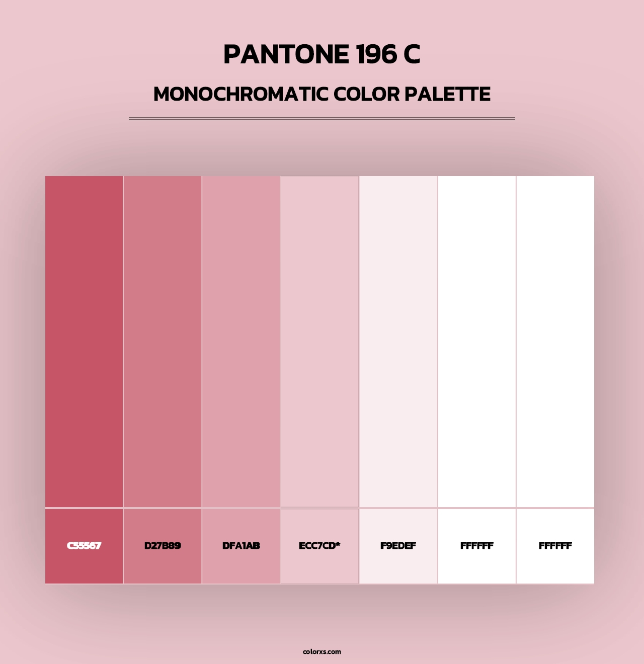 PANTONE 196 C - Monochromatic Color Palette