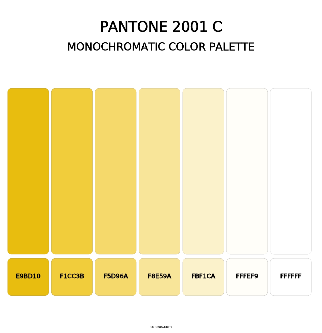 PANTONE 2001 C - Monochromatic Color Palette