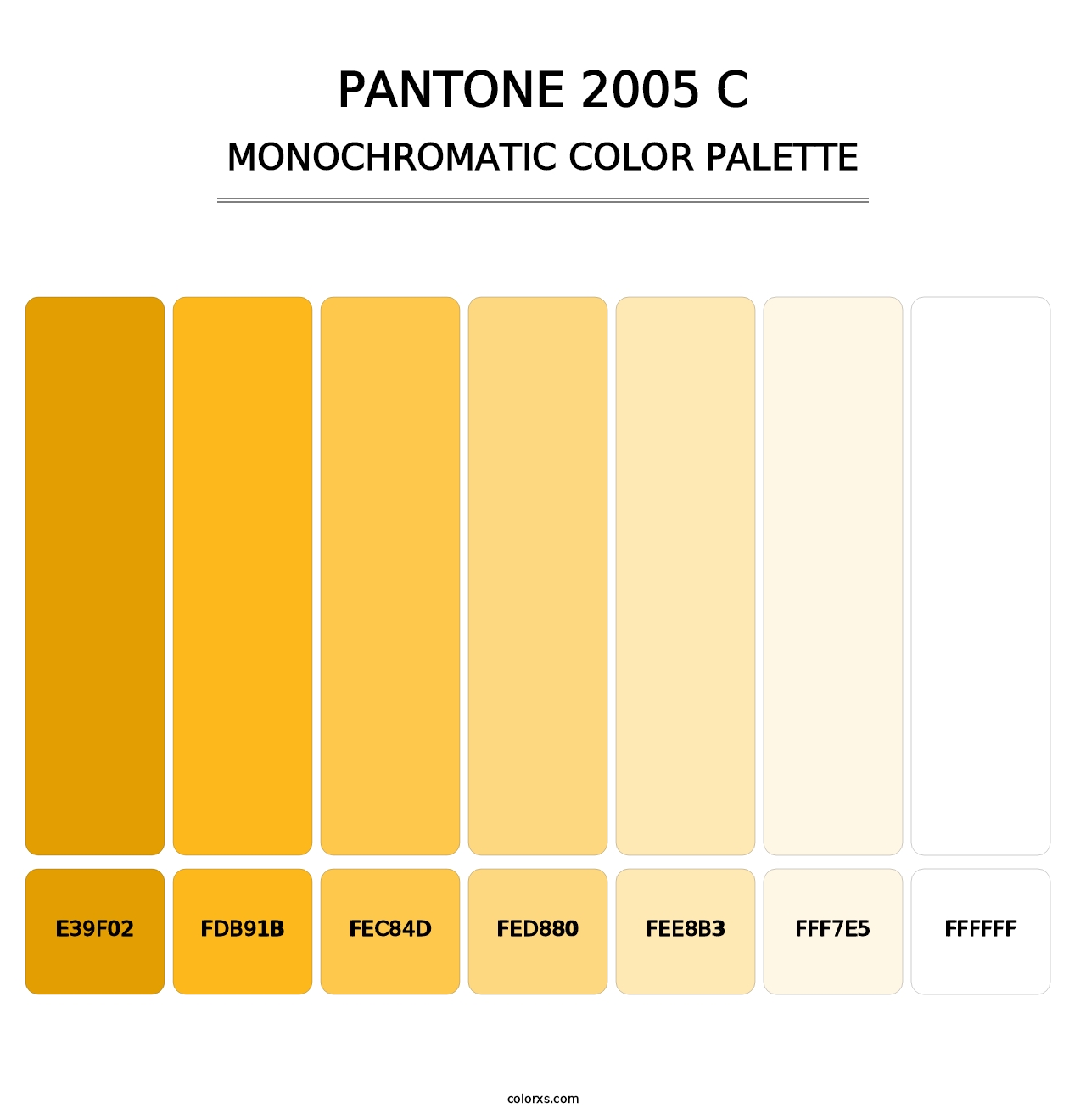 PANTONE 2005 C - Monochromatic Color Palette