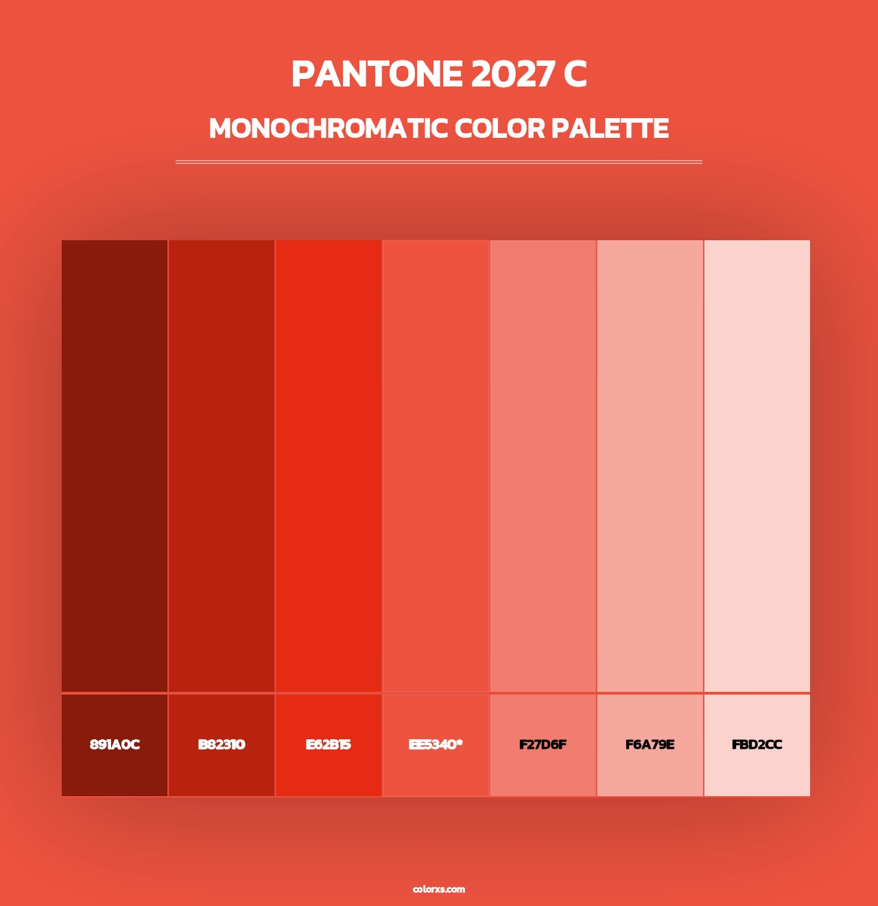 PANTONE 2027 C - Monochromatic Color Palette