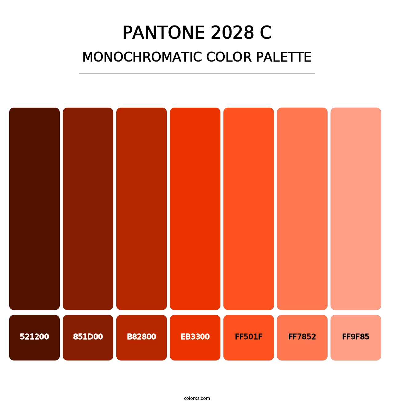 PANTONE 2028 C - Monochromatic Color Palette