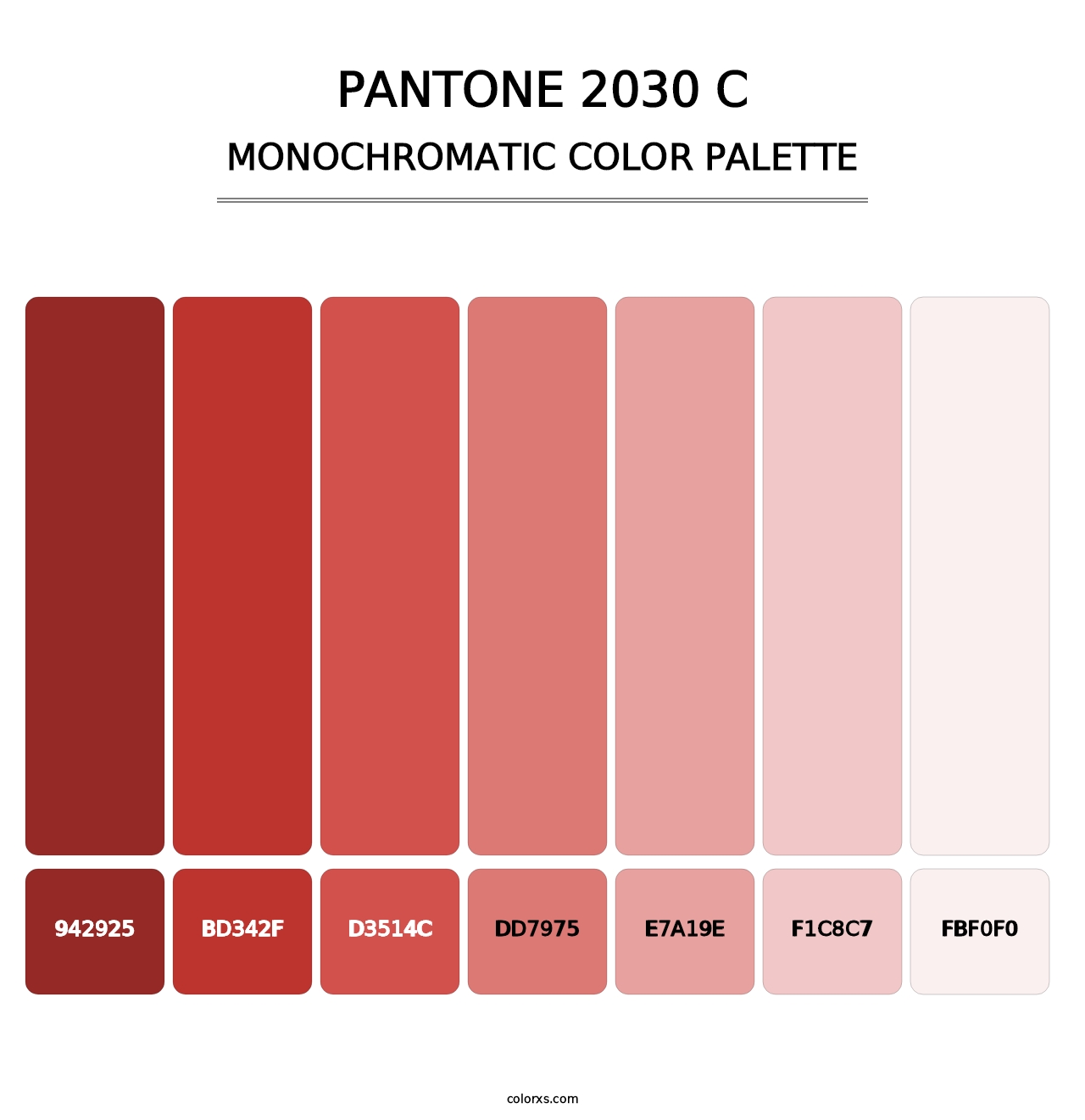 PANTONE 2030 C - Monochromatic Color Palette