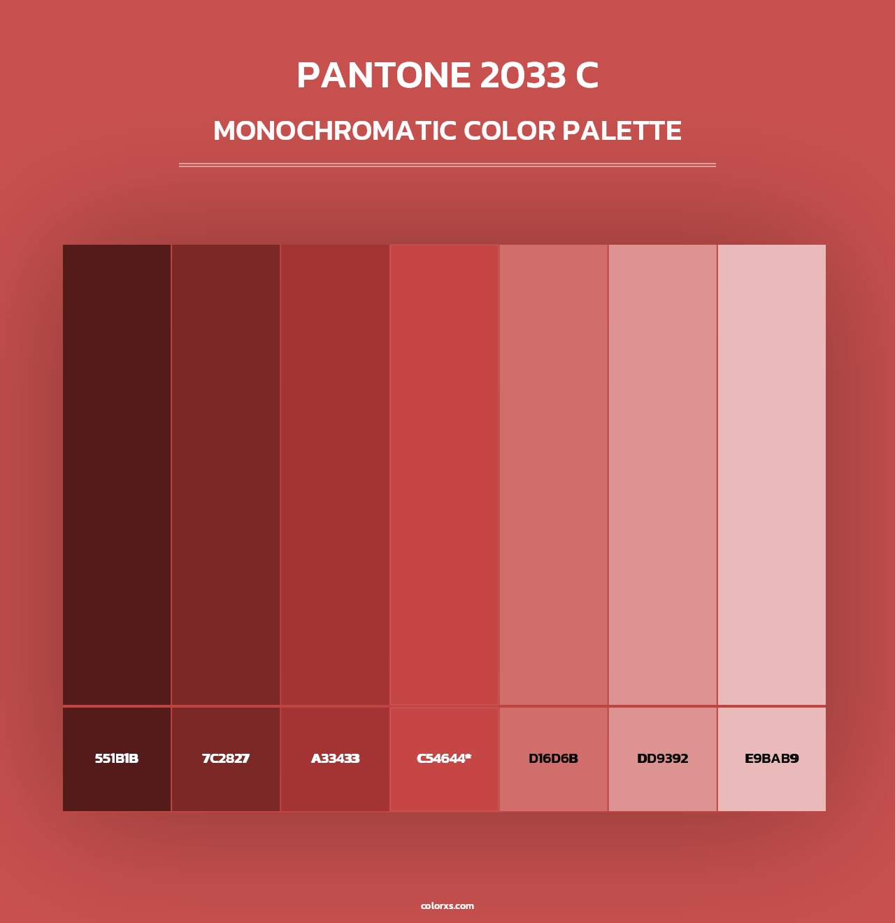 PANTONE 2033 C - Monochromatic Color Palette