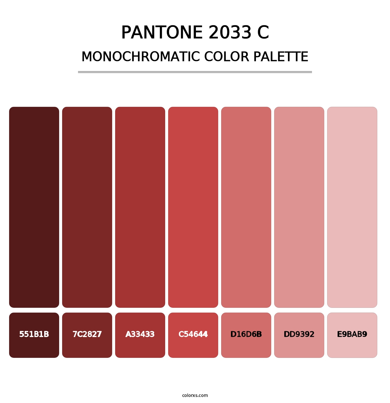 PANTONE 2033 C - Monochromatic Color Palette