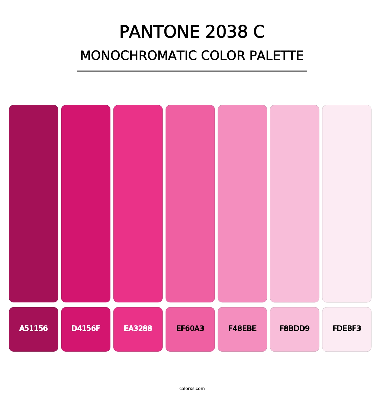 PANTONE 2038 C - Monochromatic Color Palette
