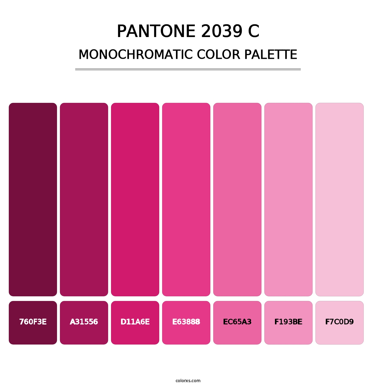 PANTONE 2039 C - Monochromatic Color Palette