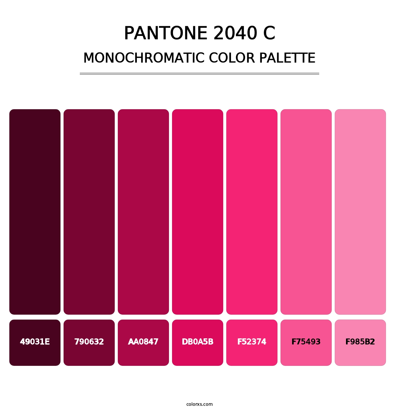 PANTONE 2040 C - Monochromatic Color Palette