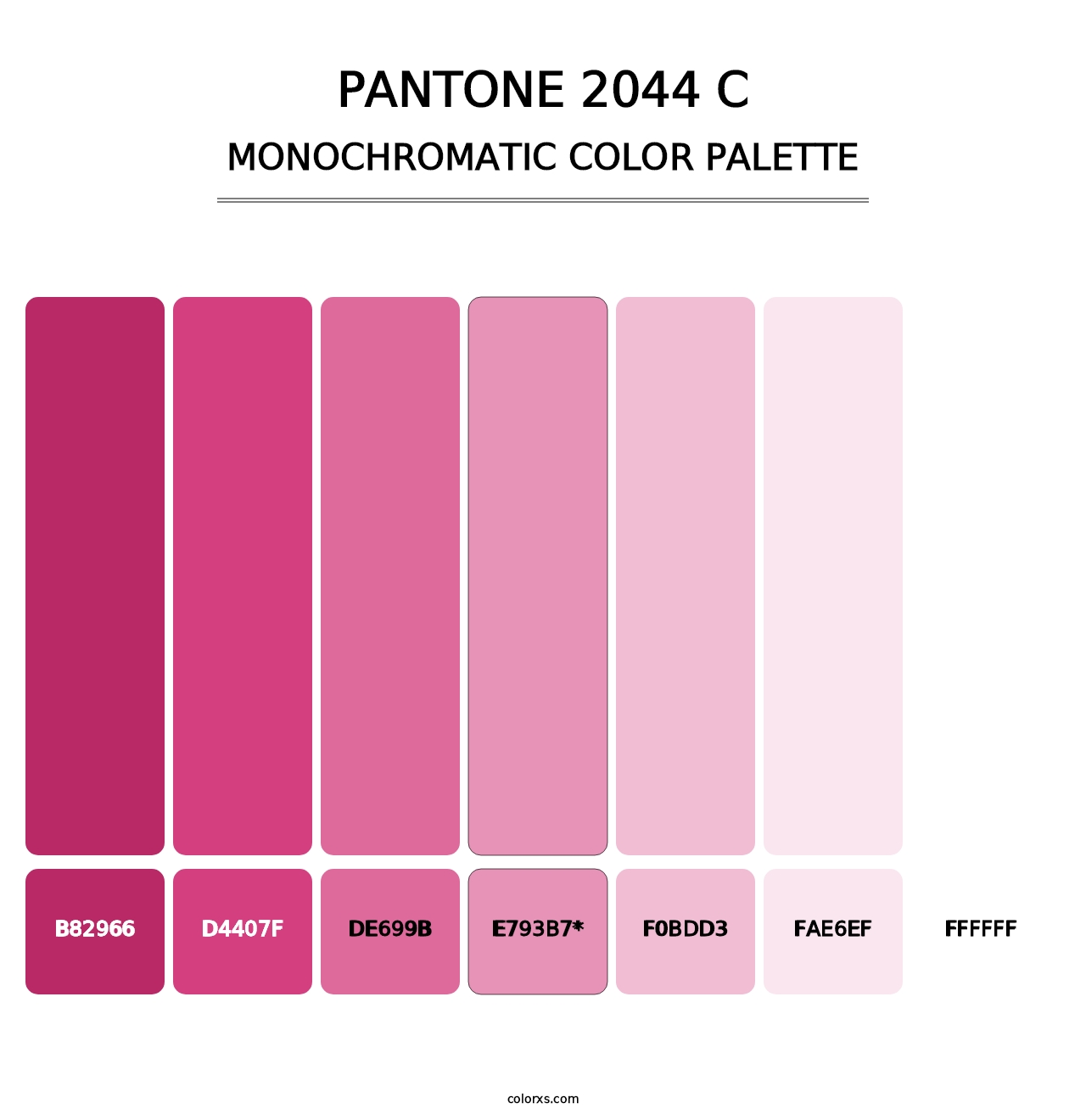 PANTONE 2044 C - Monochromatic Color Palette