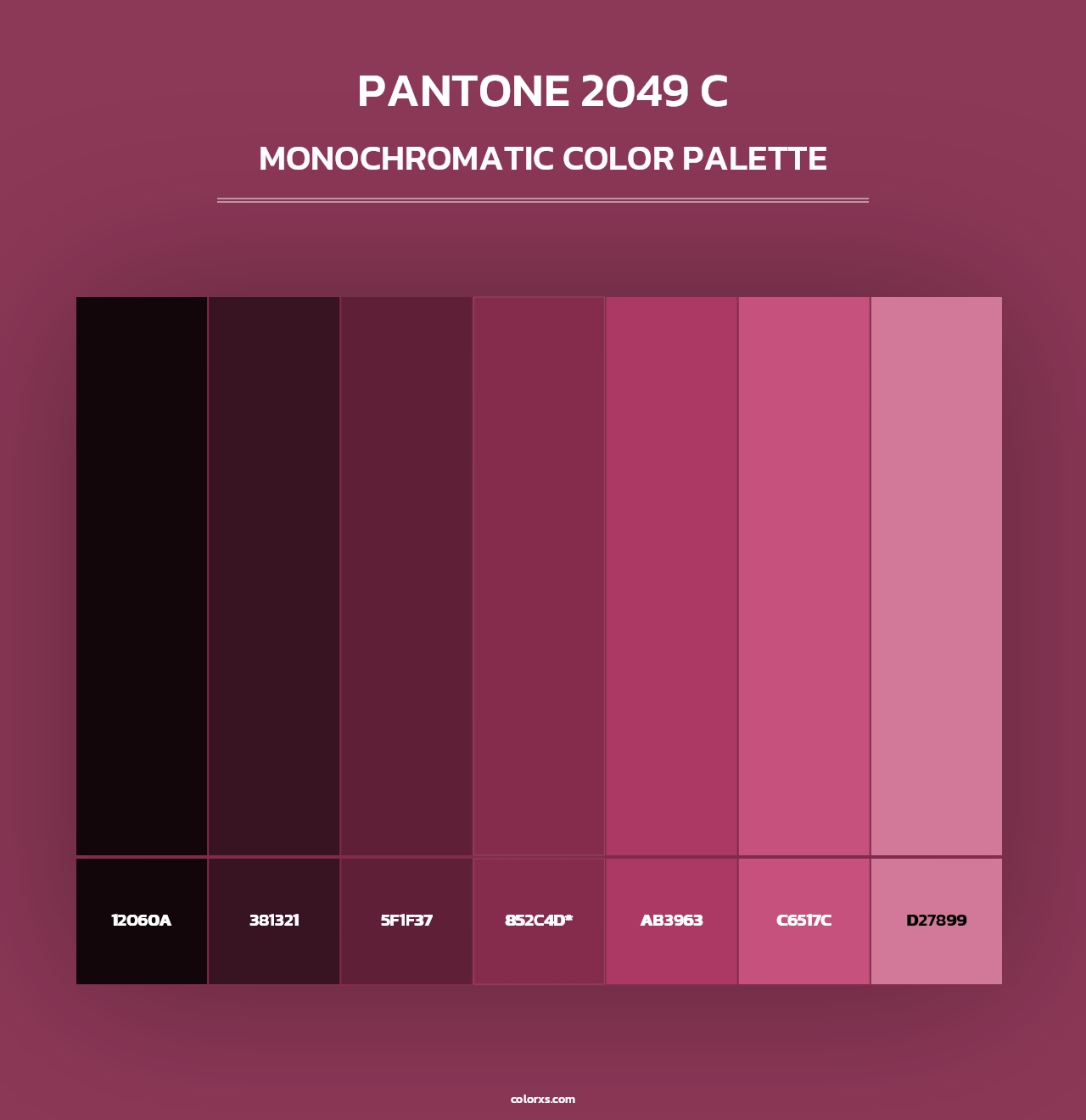 PANTONE 2049 C - Monochromatic Color Palette