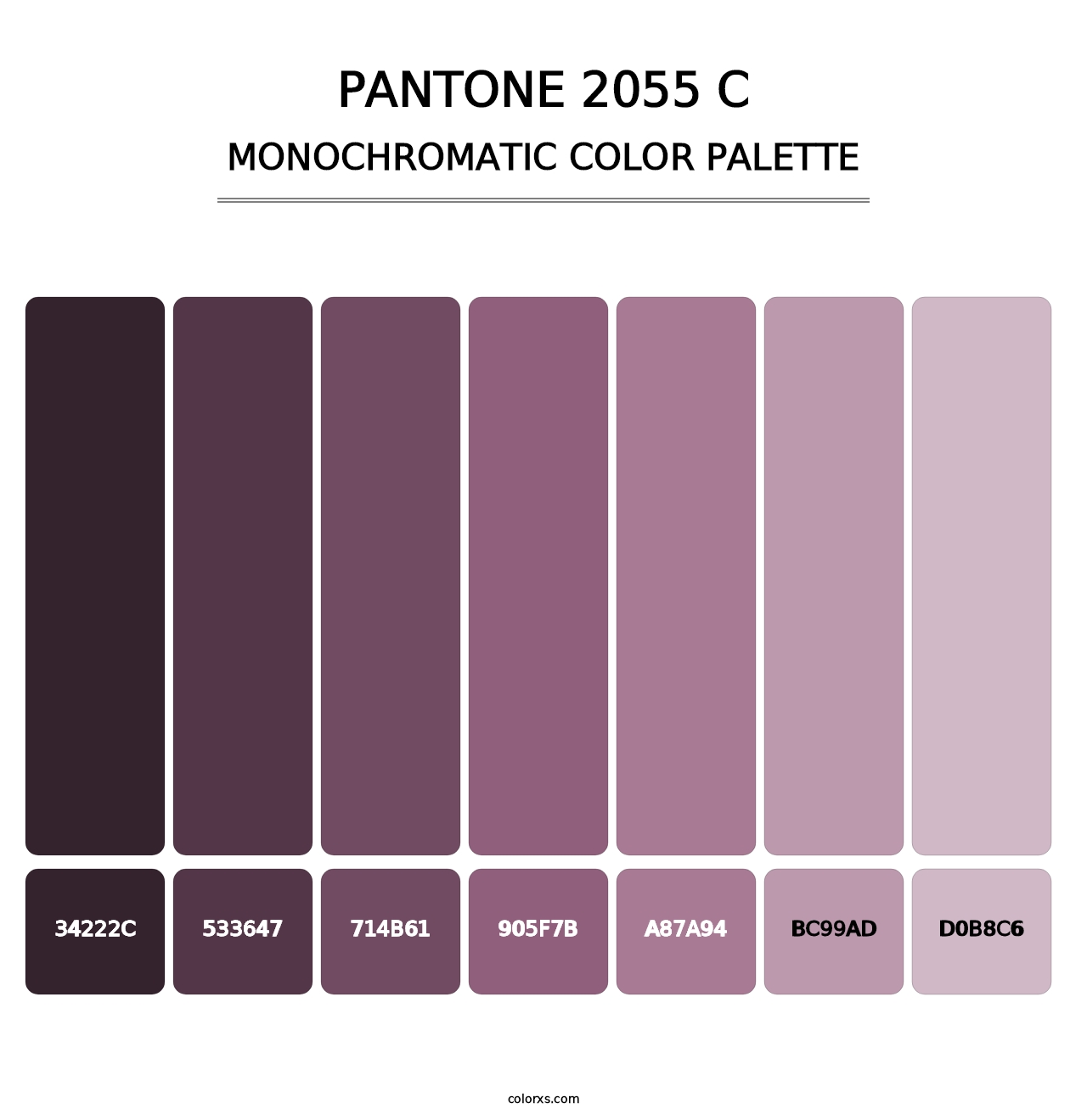 PANTONE 2055 C - Monochromatic Color Palette