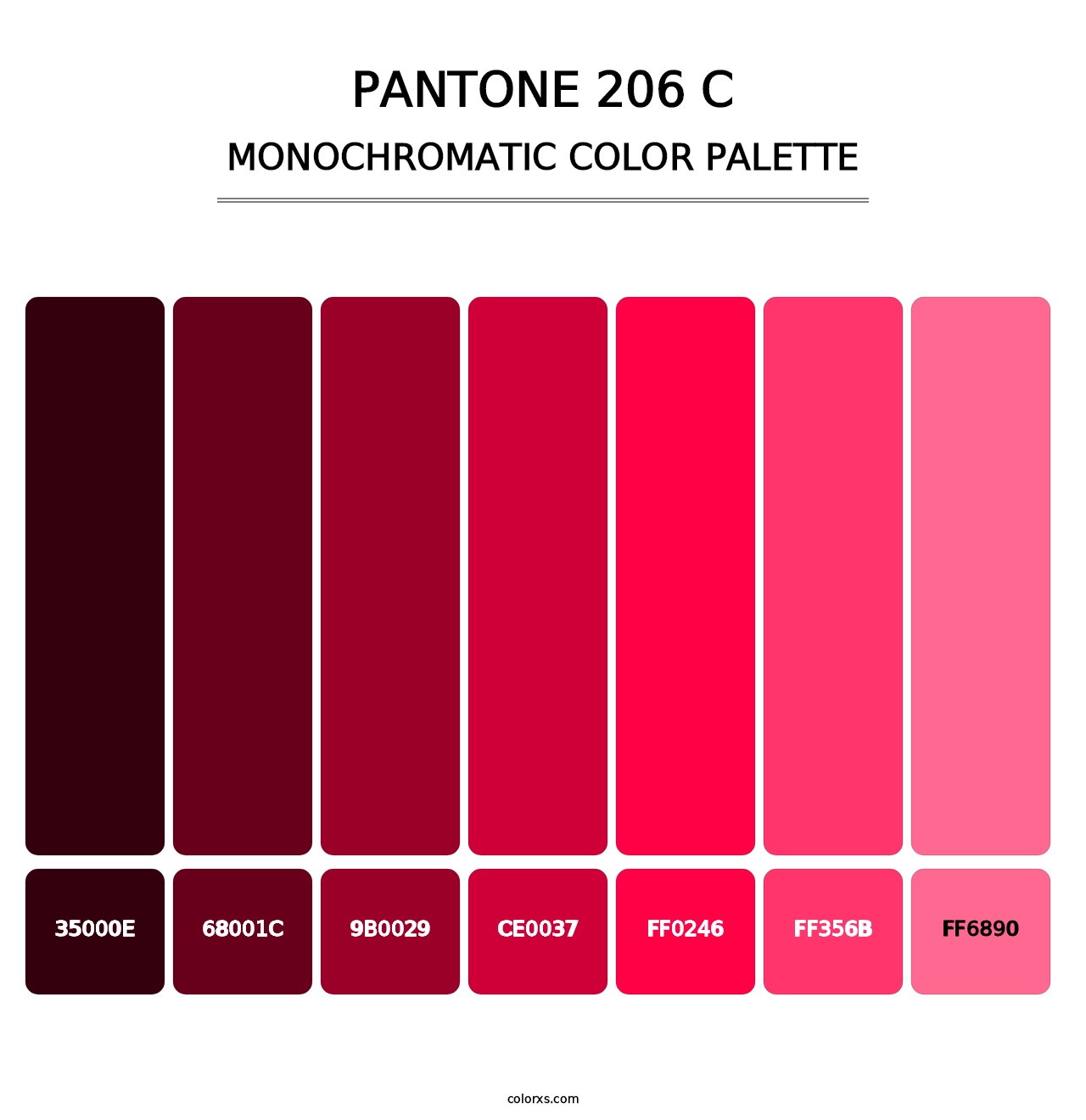 PANTONE 206 C - Monochromatic Color Palette