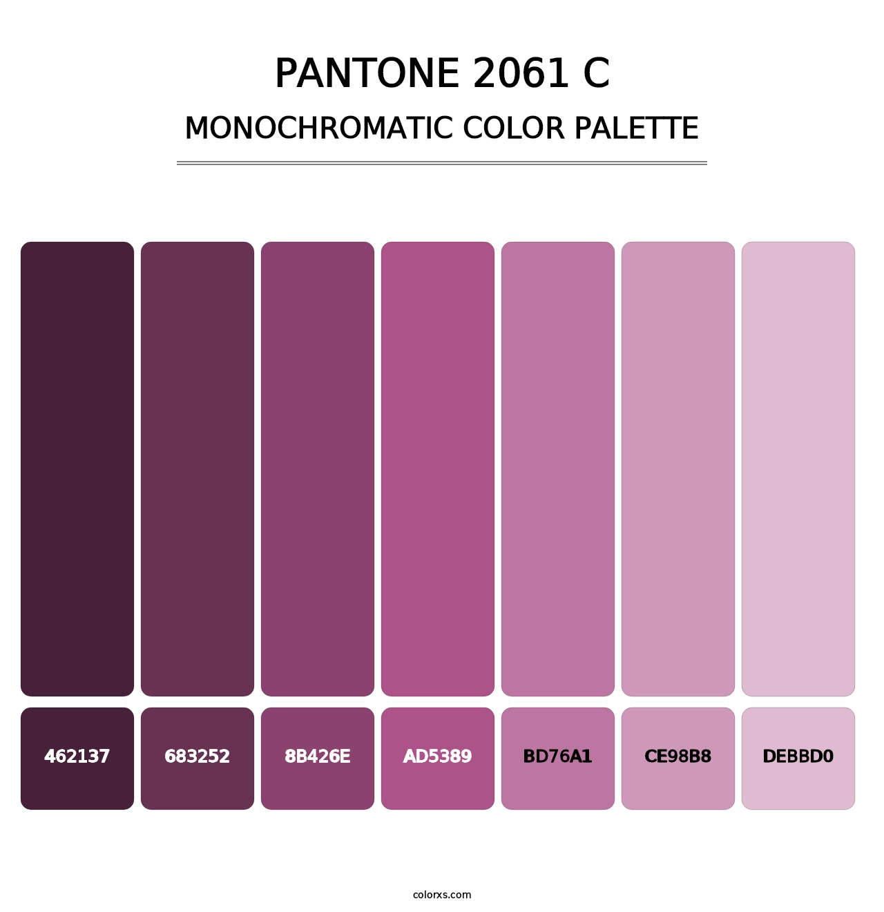 PANTONE 2061 C - Monochromatic Color Palette