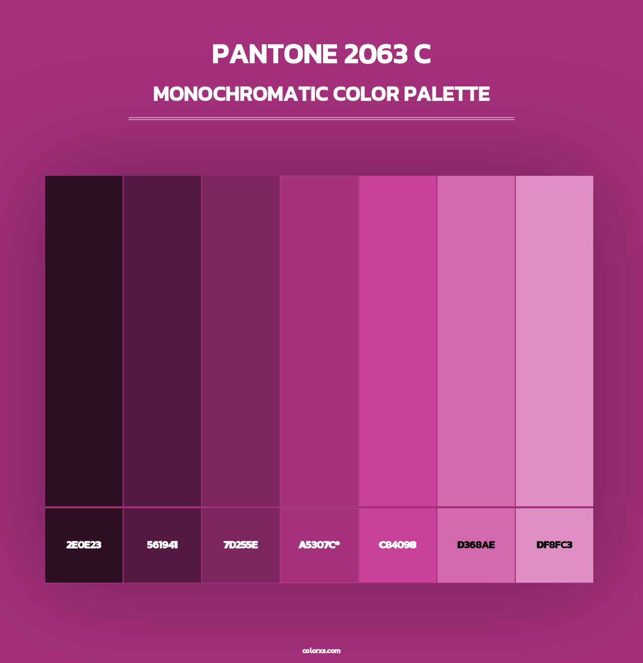 PANTONE 2063 C - Monochromatic Color Palette