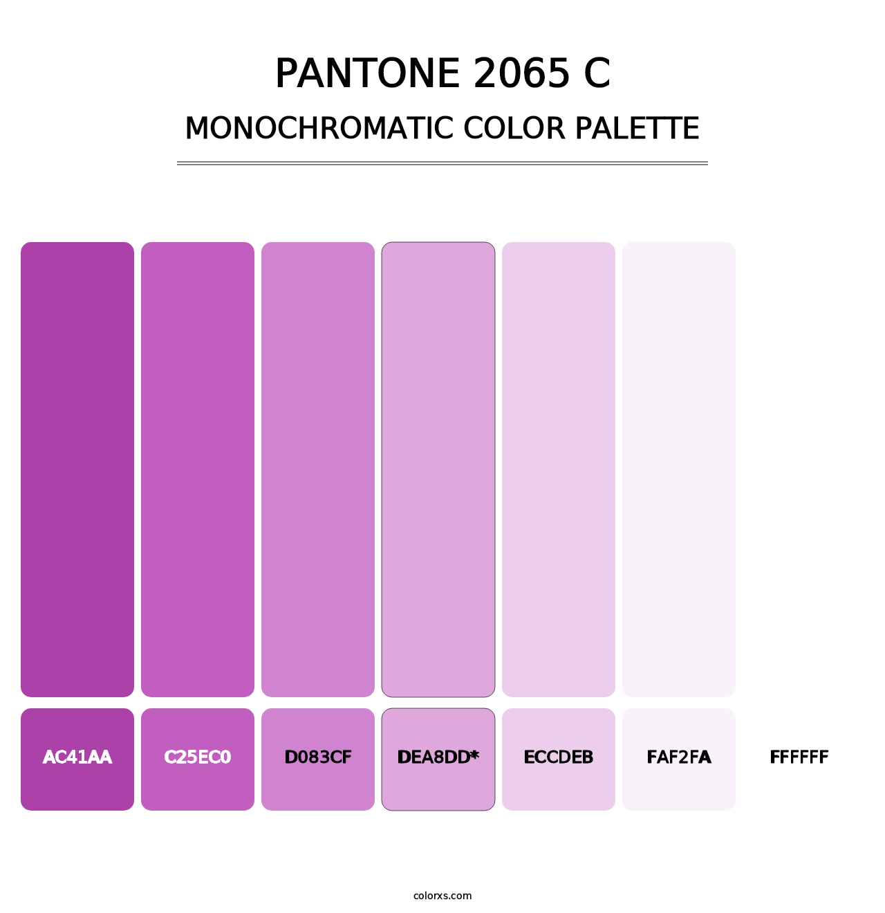 PANTONE 2065 C - Monochromatic Color Palette