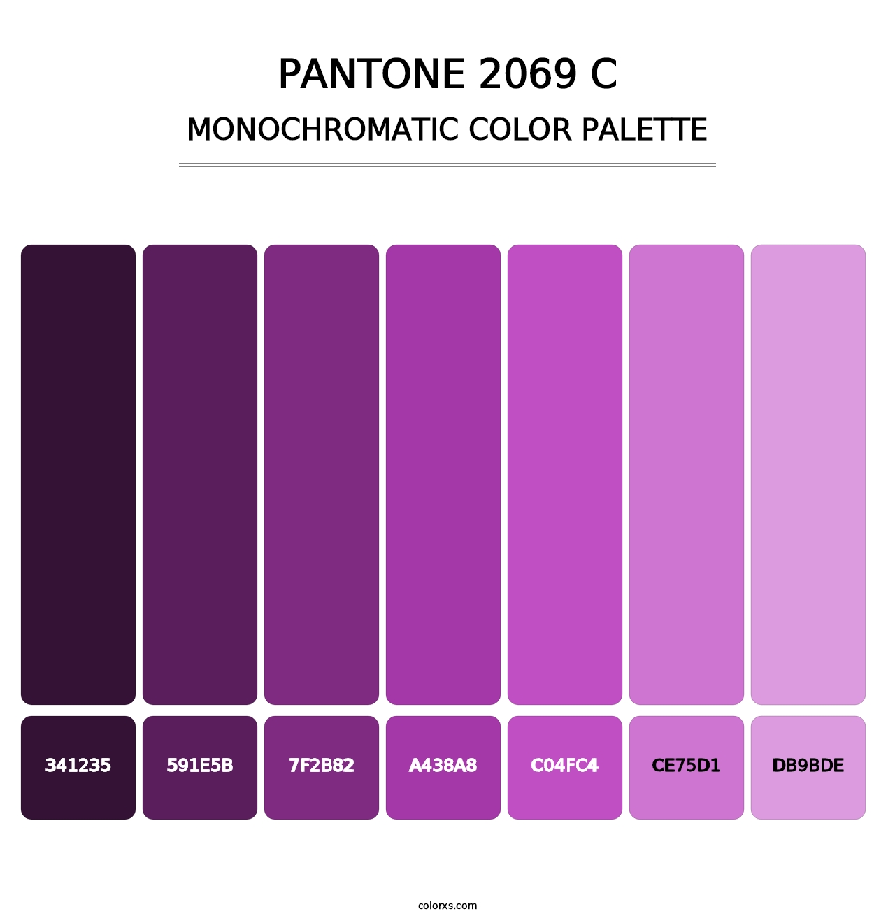 PANTONE 2069 C - Monochromatic Color Palette