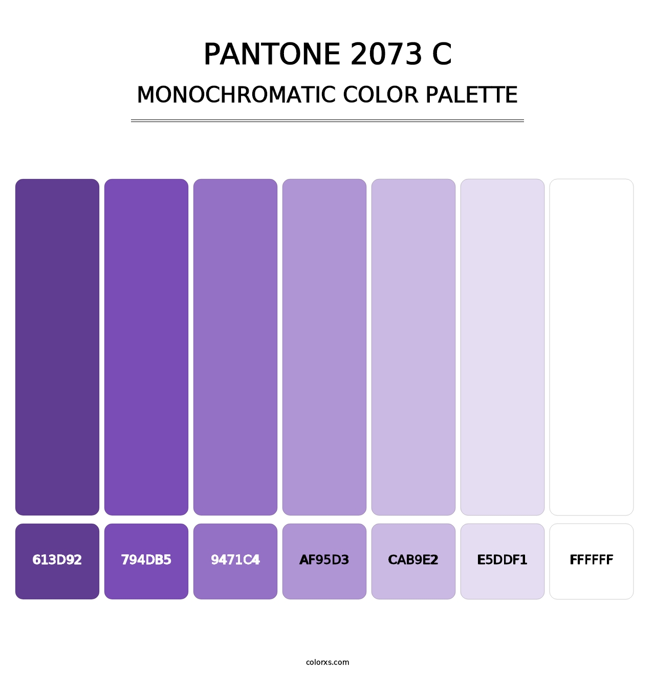 PANTONE 2073 C - Monochromatic Color Palette