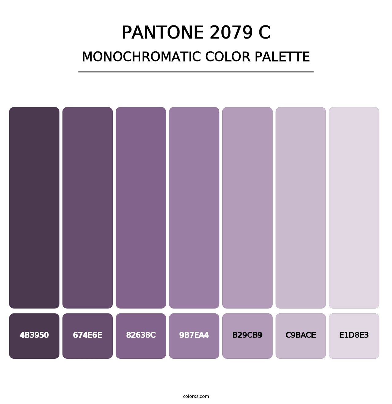 PANTONE 2079 C - Monochromatic Color Palette
