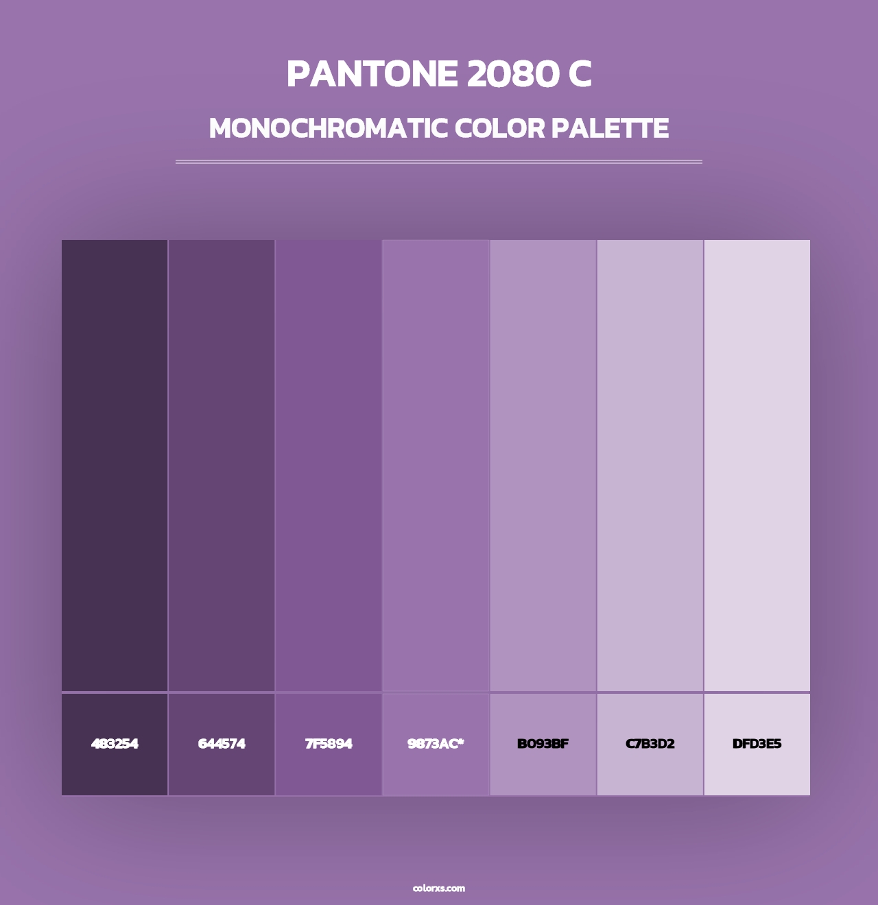 PANTONE 2080 C - Monochromatic Color Palette