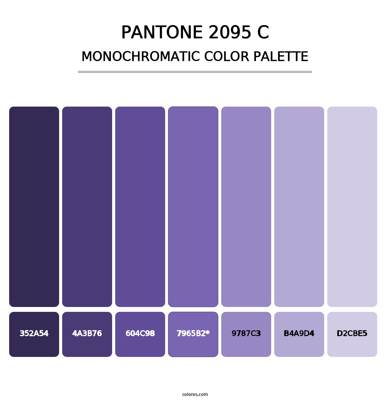 PANTONE 2095 C - Monochromatic Color Palette
