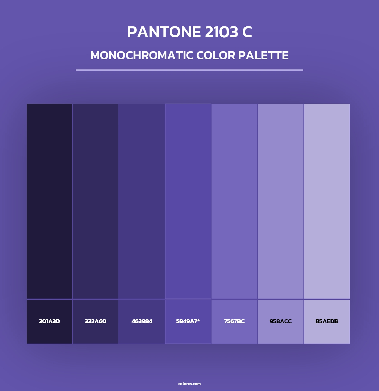 PANTONE 2103 C - Monochromatic Color Palette