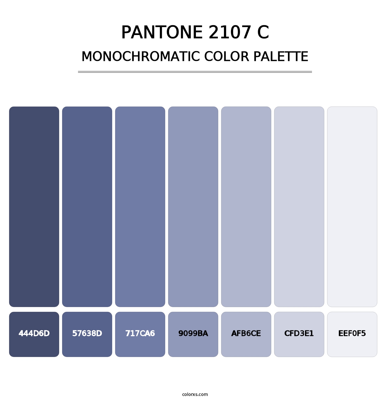 PANTONE 2107 C - Monochromatic Color Palette