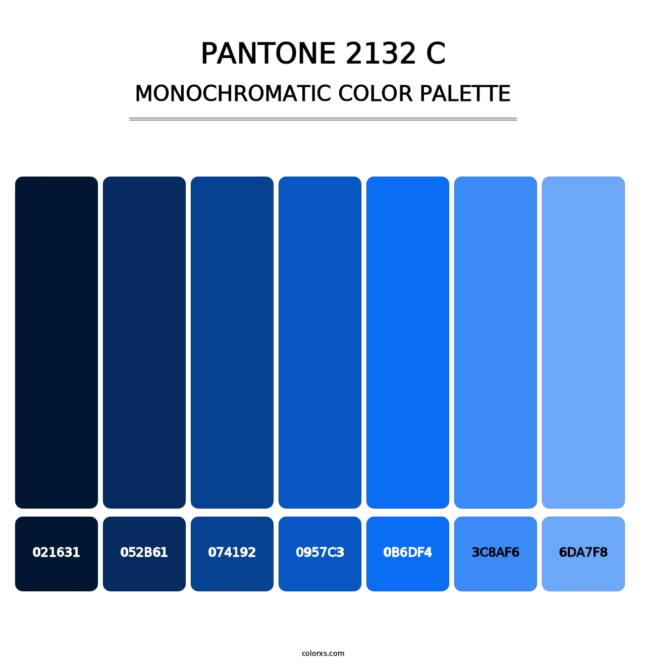 PANTONE 2132 C - Monochromatic Color Palette