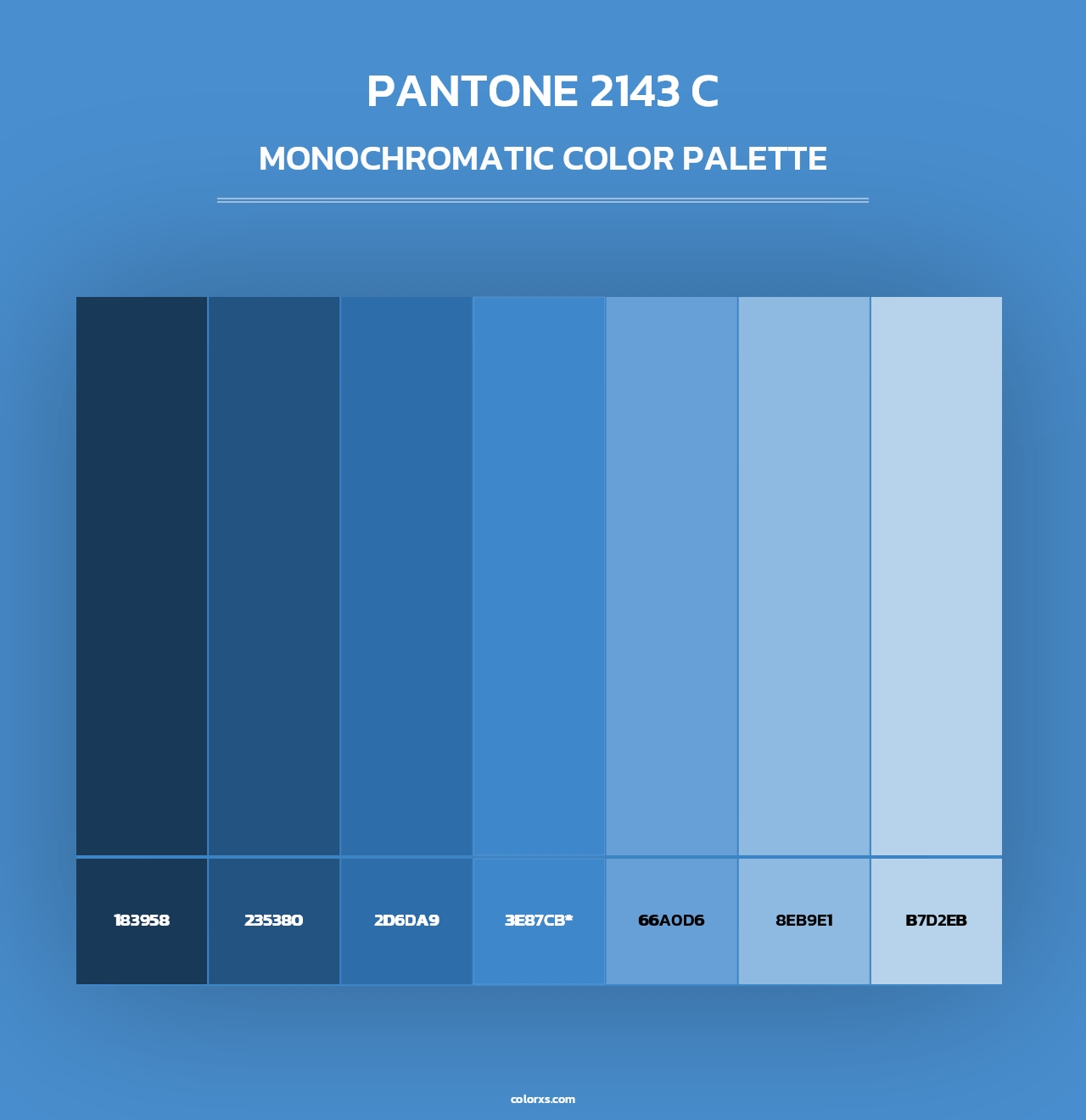 PANTONE 2143 C - Monochromatic Color Palette