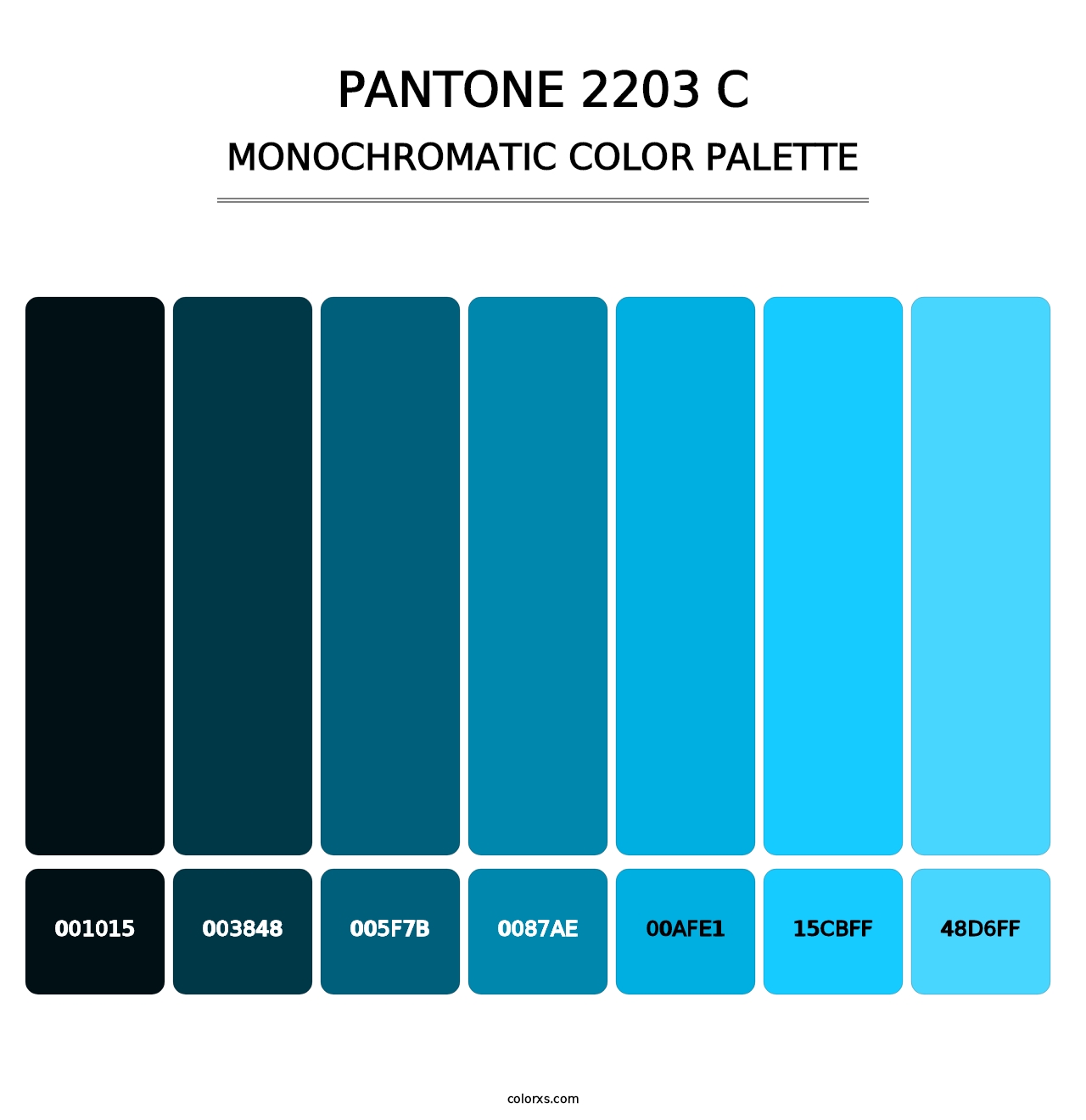 PANTONE 2203 C - Monochromatic Color Palette