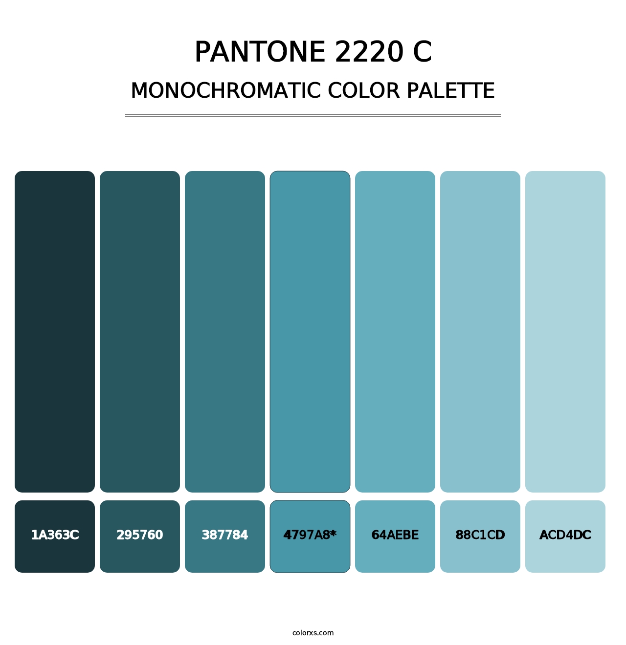 PANTONE 2220 C - Monochromatic Color Palette