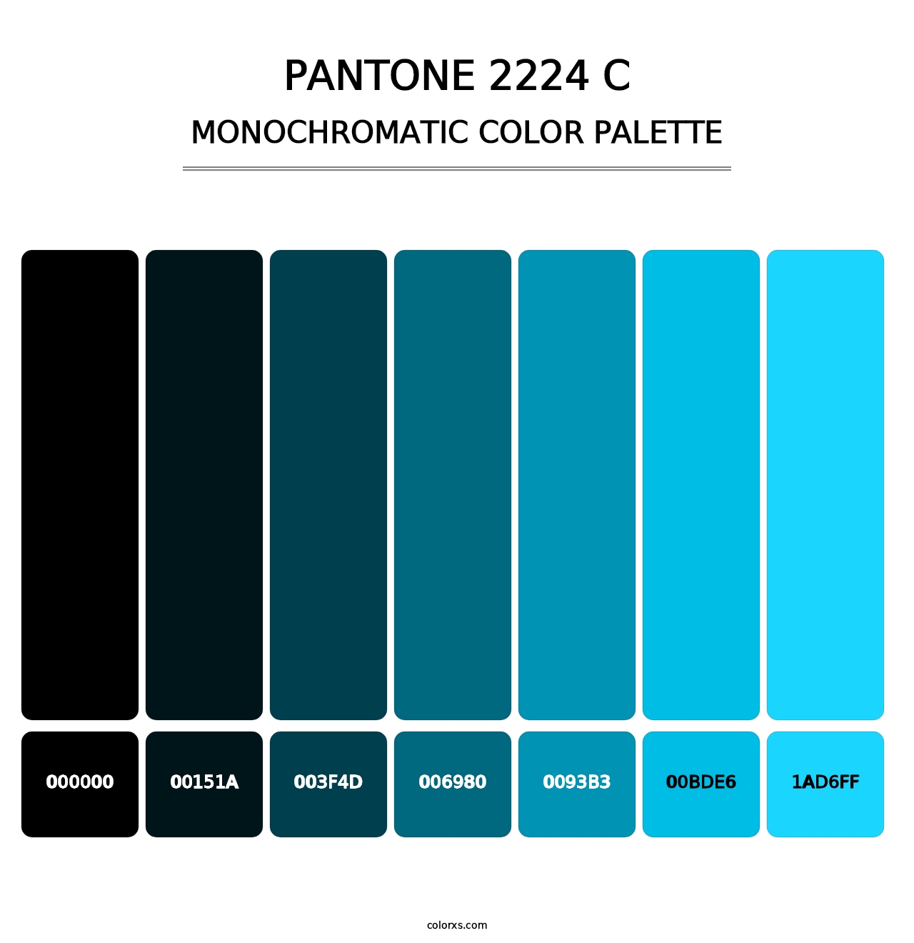 PANTONE 2224 C - Monochromatic Color Palette