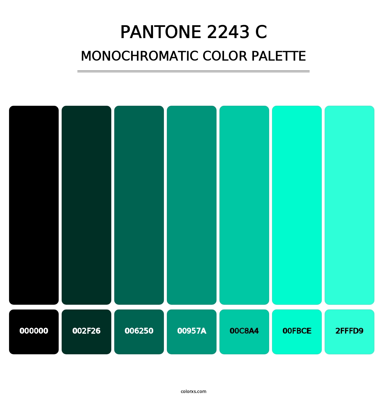 PANTONE 2243 C - Monochromatic Color Palette