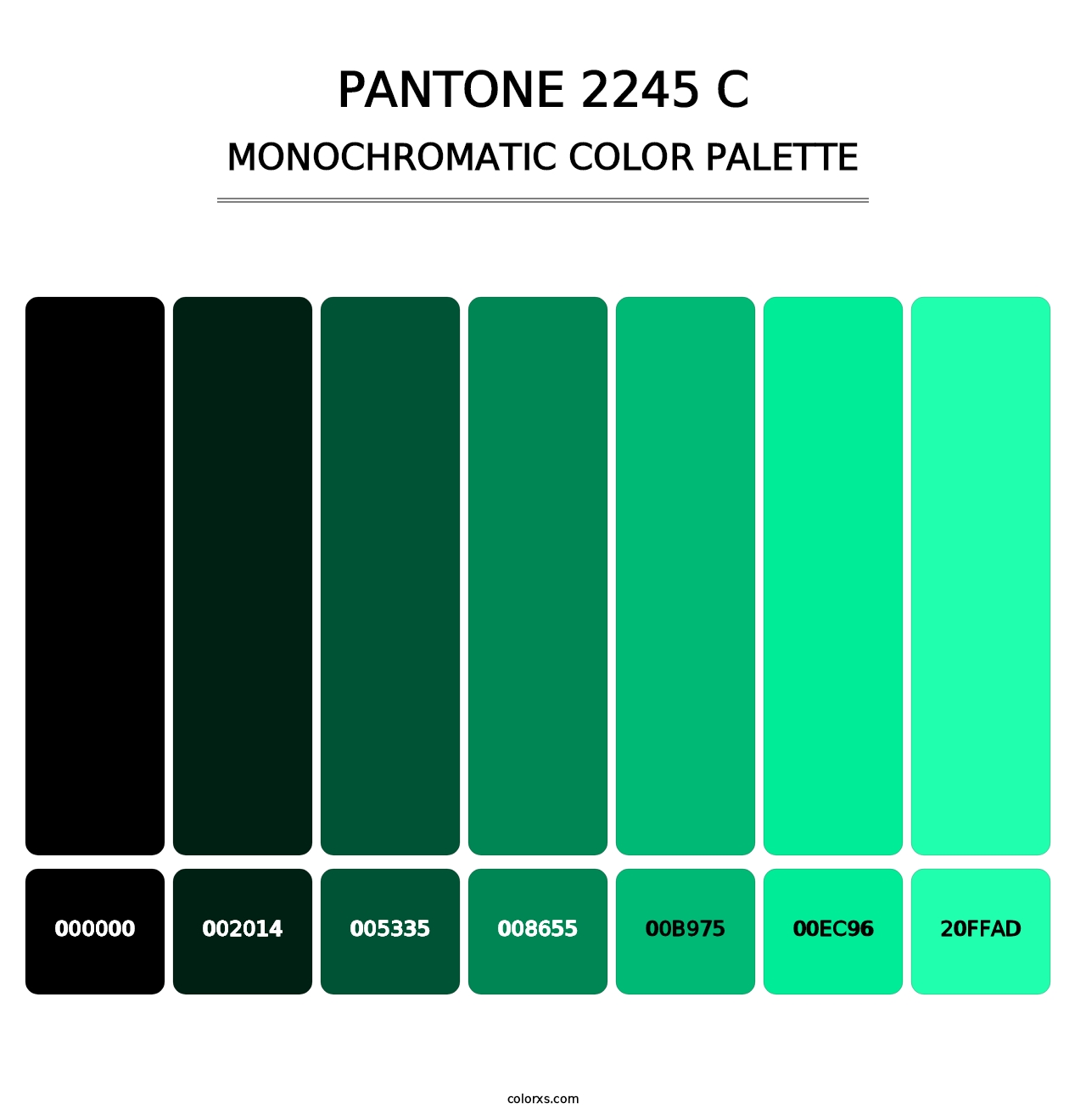 PANTONE 2245 C - Monochromatic Color Palette