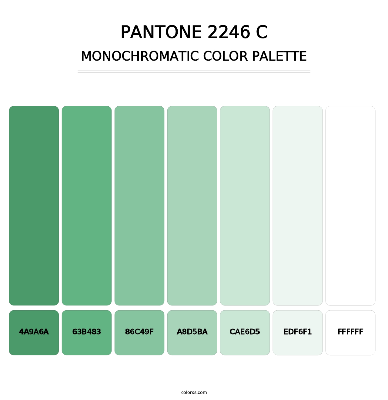 PANTONE 2246 C - Monochromatic Color Palette