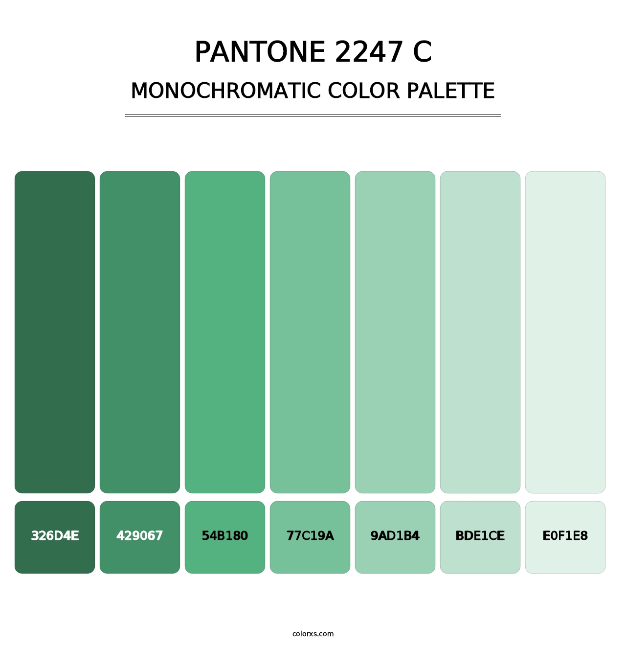 PANTONE 2247 C - Monochromatic Color Palette