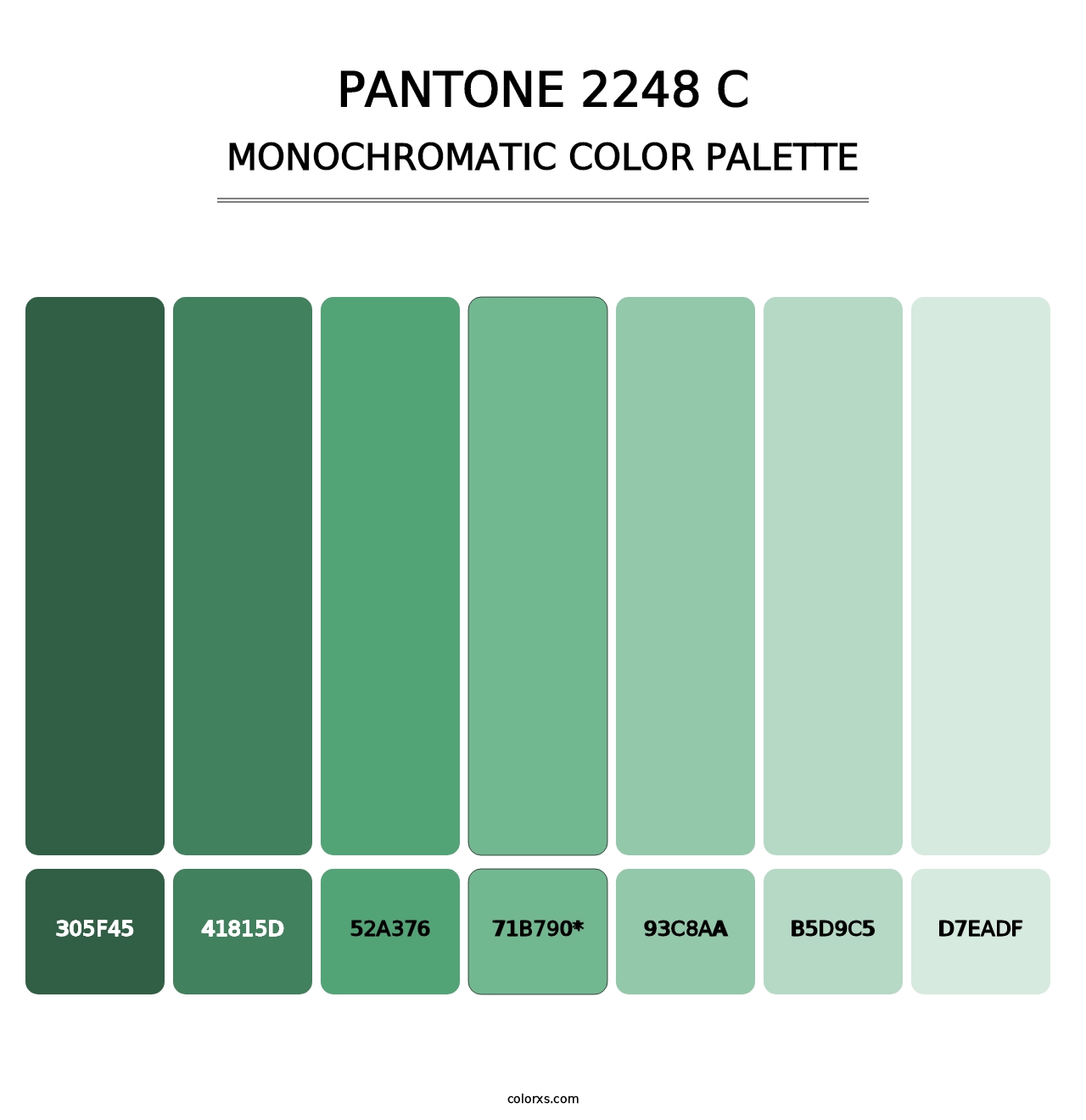 PANTONE 2248 C - Monochromatic Color Palette