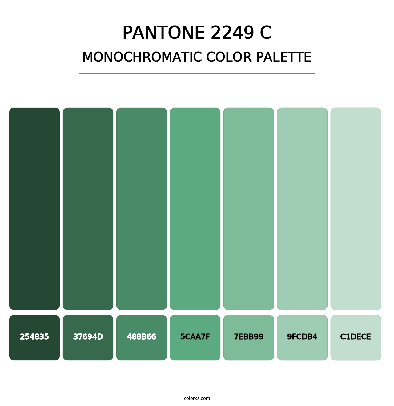 PANTONE 2249 C - Monochromatic Color Palette